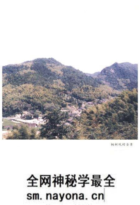 《桐树坑革命和建设史话》.pdf电子版_浙江省志预览图3 《桐树坑革命和建设史话》.pdf电子版_浙江省志预览图3
