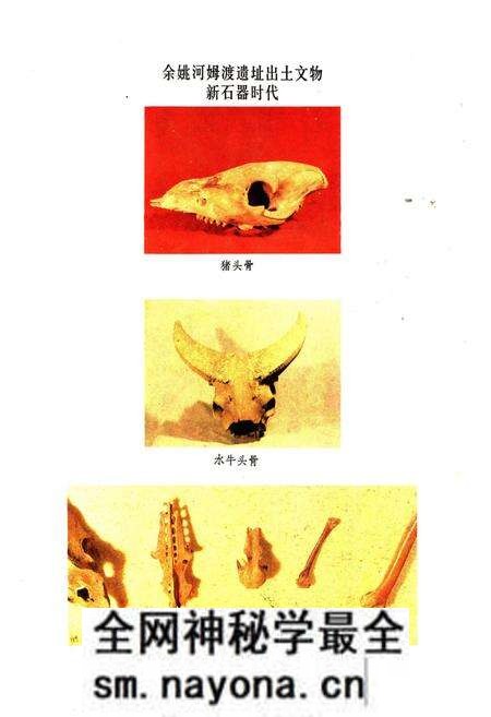 《浙江省畜禽品种志》.pdf电子版_浙江省志预览图4 《浙江省畜禽品种志》.pdf电子版_浙江省志预览图4