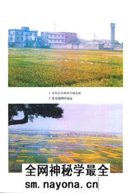 《余杭县农业志》.pdf电子版_浙江省志预览图1 《余杭县农业志》.pdf电子版_浙江省志预览图1