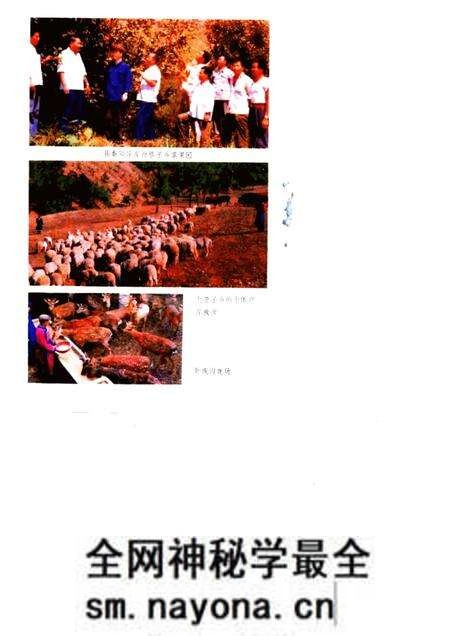 1985-喀喇沁左翼蒙古族自治县概况.pdf电子版_辽宁省志预览图4 1985-喀喇沁左翼蒙古族自治县概况.pdf电子版_辽宁省志预览图4