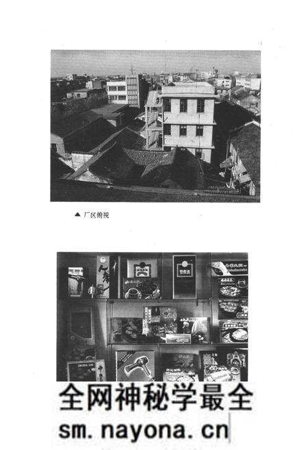 《嘉善县印刷厂志1952-1989》.pdf电子版_浙江省志预览图4 《嘉善县印刷厂志1952-1989》.pdf电子版_浙江省志预览图4