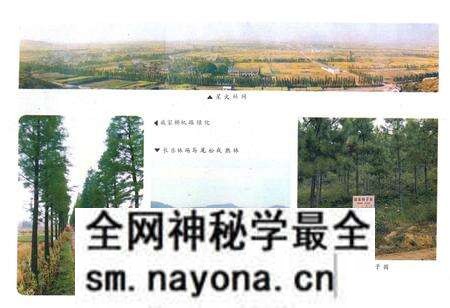 《余杭县林业志1910-1987年》.pdf电子版_浙江省志预览图2 《余杭县林业志1910-1987年》.pdf电子版_浙江省志预览图2