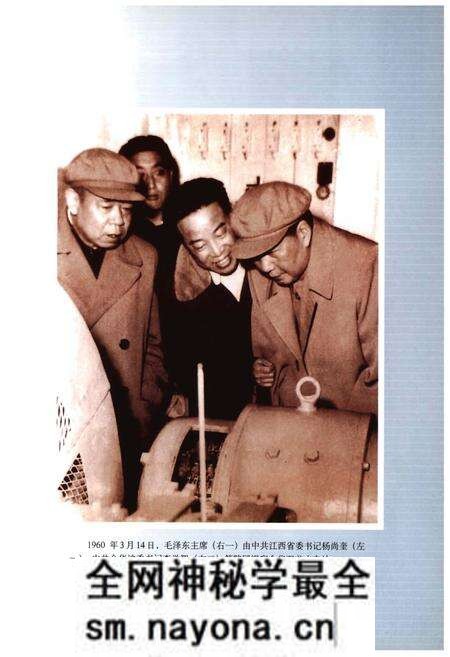 《金华电业局用电管理所供电区电力工业大事记(1919-2000)》.pdf电子版_浙江省志预览图5 《金华电业局用电管理所供电区电力工业大事记(1919-2000)》.pdf电子版_浙江省志预览图5