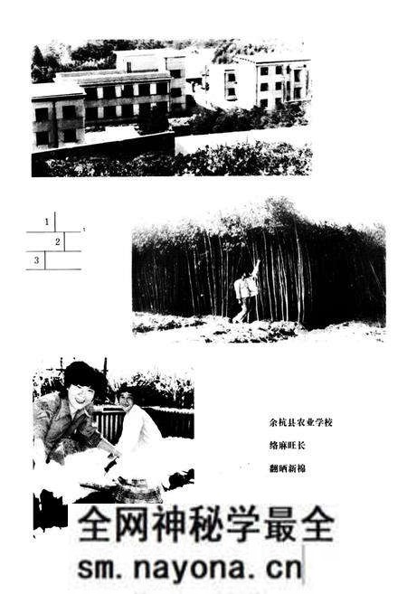 《余杭县农业志》.pdf电子版_浙江省志预览图5 《余杭县农业志》.pdf电子版_浙江省志预览图5