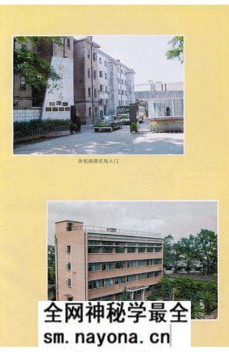 《余杭县南湖农场志》.pdf电子版_浙江省志预览图5 《余杭县南湖农场志》.pdf电子版_浙江省志预览图5