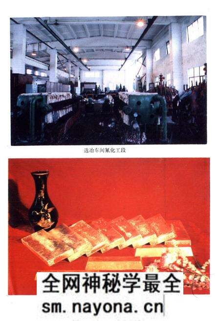 《浙江省遂昌金矿志》.pdf电子版_浙江省志预览图5 《浙江省遂昌金矿志》.pdf电子版_浙江省志预览图5