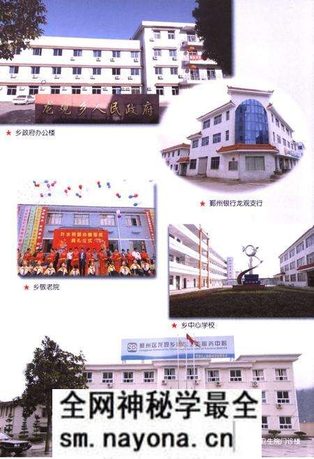 《龙观乡志》.pdf电子版_浙江省志预览图4 《龙观乡志》.pdf电子版_浙江省志预览图4