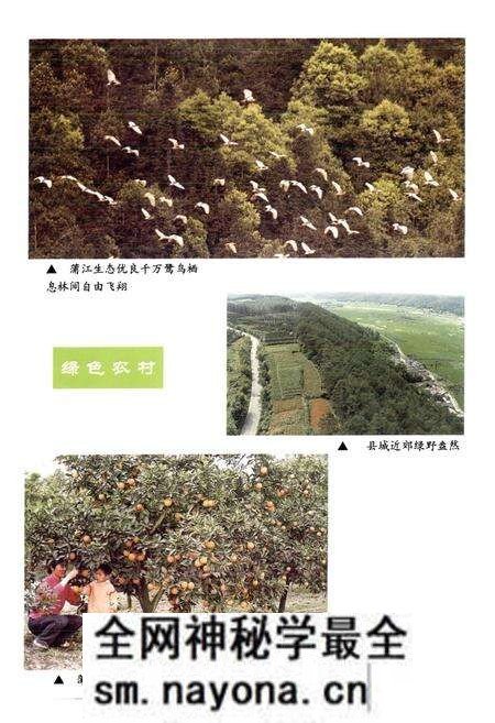 《浦江县国土志》.pdf电子版_浙江省志预览图5 《浦江县国土志》.pdf电子版_浙江省志预览图5