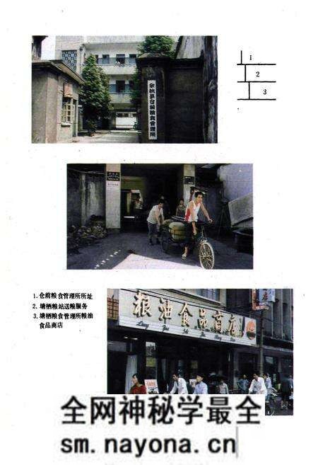 《余杭县粮食志》.pdf电子版_浙江省志预览图5 《余杭县粮食志》.pdf电子版_浙江省志预览图5