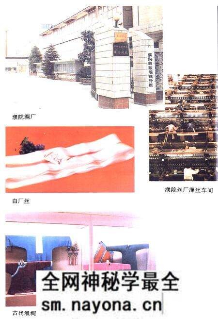 《濮院镇志》.pdf电子版_浙江省志预览图4