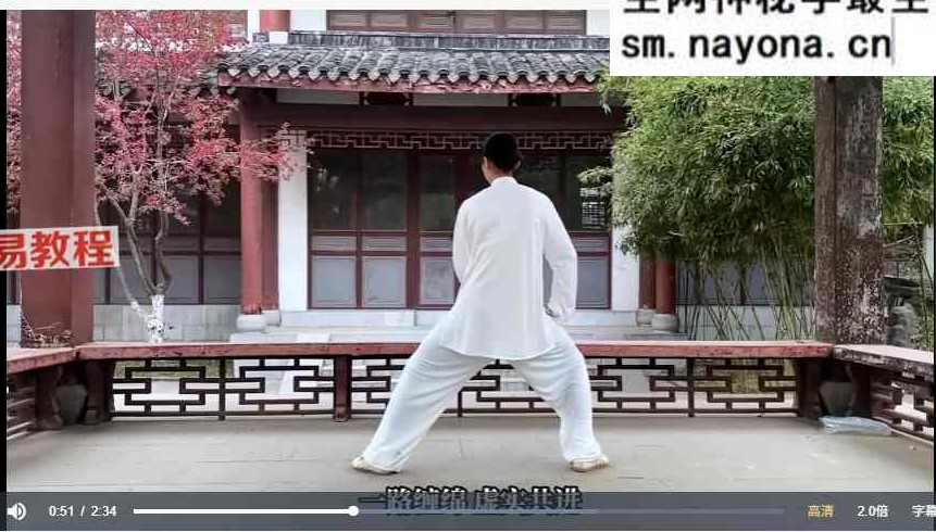 炼神入道太极嫡传弟子班视频90集