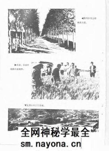 -乡宁年鉴 1985.pdf电子版_山西省志预览图5 -乡宁年鉴 1985.pdf电子版_山西省志预览图5