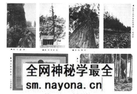 《余杭县林业志1910-1987年》.pdf电子版_浙江省志预览图4 《余杭县林业志1910-1987年》.pdf电子版_浙江省志预览图4