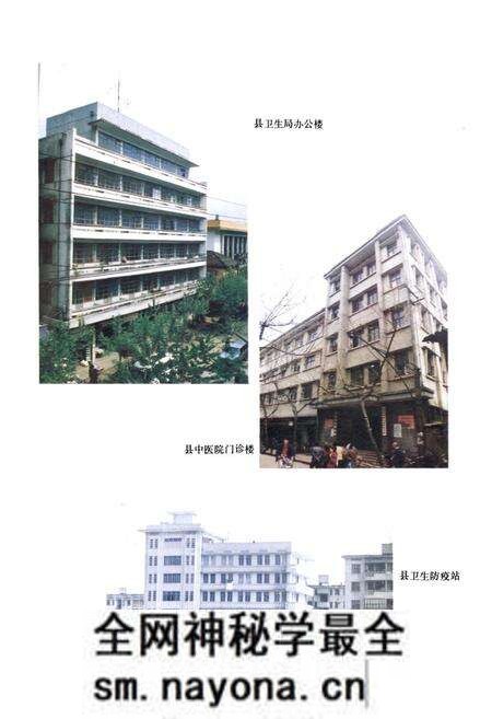 《武义县卫生志》.pdf电子版_浙江省志预览图4 《武义县卫生志》.pdf电子版_浙江省志预览图4