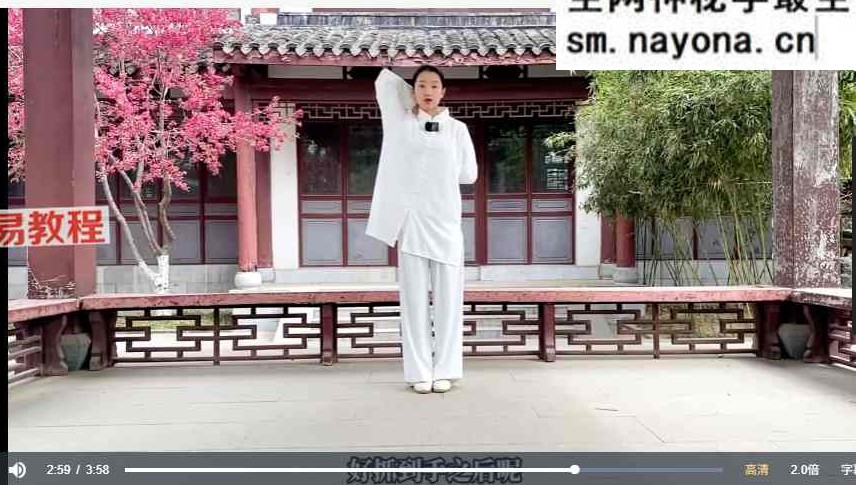 炼神入道太极嫡传弟子班视频90集