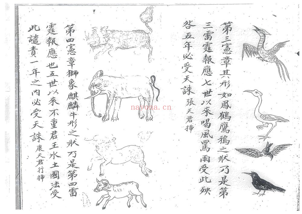 《先天雷律宪章符法》PDF电子书(29页)