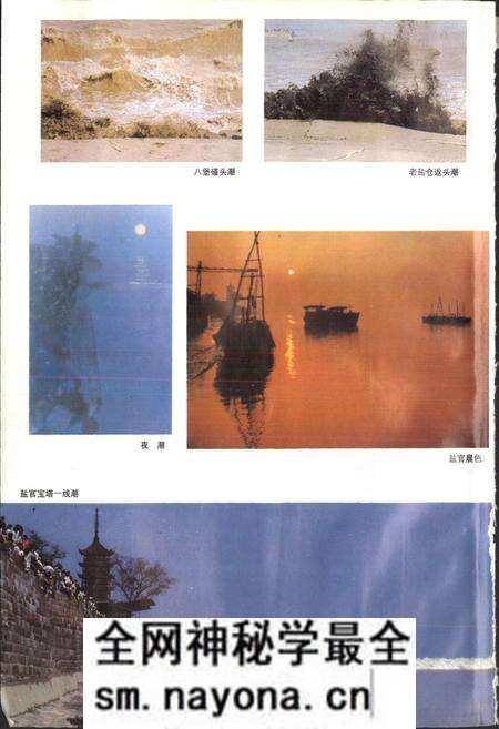 《海宁市志》.pdf电子版_浙江省志预览图4