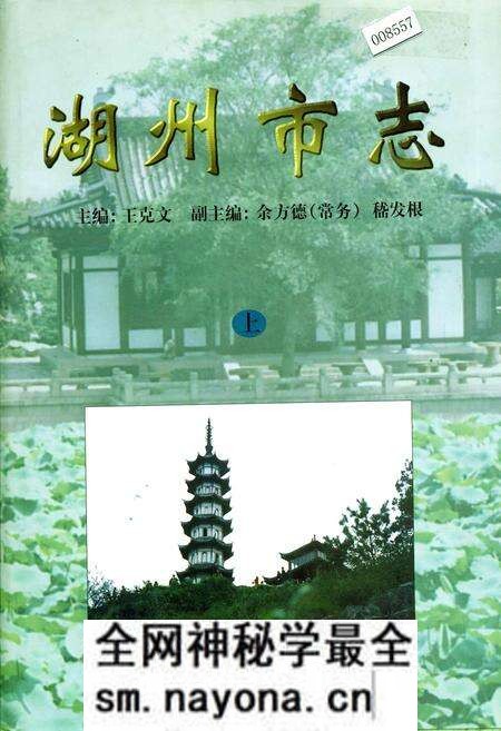 《湖州市志 上》.pdf电子版_浙江省志预览图