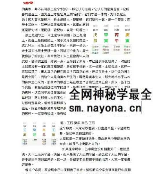 杨清娟弟子 陈家盛《第二届盲派清娟命理补习班 丙午年0322号》 492页
