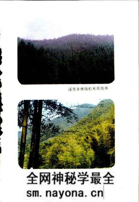 《武义县林业志》.pdf电子版_浙江省志预览图5 《武义县林业志》.pdf电子版_浙江省志预览图5