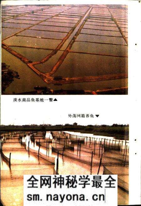 《嘉兴市水产志》.pdf电子版_浙江省志预览图5 《嘉兴市水产志》.pdf电子版_浙江省志预览图5