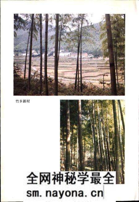 《安吉林业志》.pdf电子版_浙江省志预览图4 《安吉林业志》.pdf电子版_浙江省志预览图4