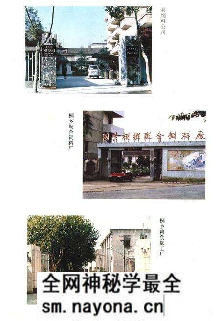 《桐乡市粮食志》.pdf电子版_浙江省志预览图5 《桐乡市粮食志》.pdf电子版_浙江省志预览图5