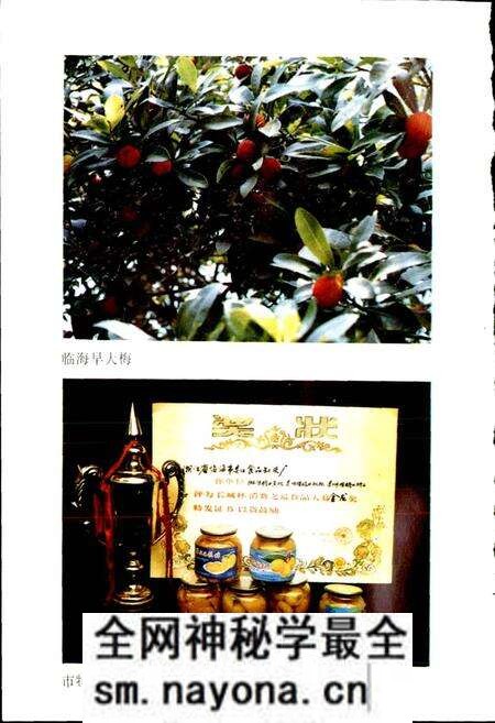 《临海林业特产志》.pdf电子版_浙江省志预览图5