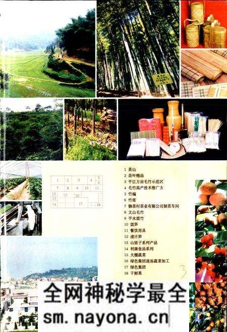 《绍兴县志 第二册 经济 政治》.pdf电子版_浙江省志预览图4 《绍兴县志 第二册 经济 政治》.pdf电子版_浙江省志预览图4