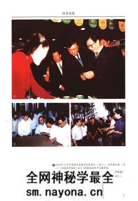 《遂昌县林业志(1995-2005)》.pdf电子版_浙江省志预览图4 《遂昌县林业志(1995-2005)》.pdf电子版_浙江省志预览图4