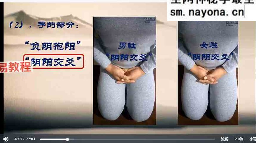 文始道全集11套视频合集