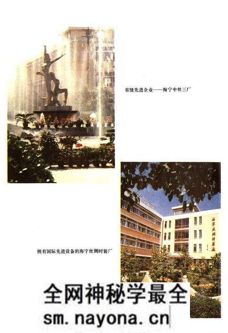 《海宁市丝绸工业志》.pdf电子版_浙江省志预览图5 《海宁市丝绸工业志》.pdf电子版_浙江省志预览图5