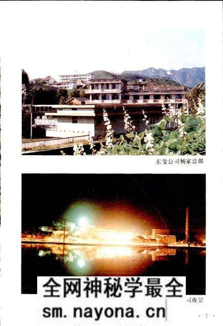 《武义萤石志》.pdf电子版_浙江省志预览图5 《武义萤石志》.pdf电子版_浙江省志预览图5