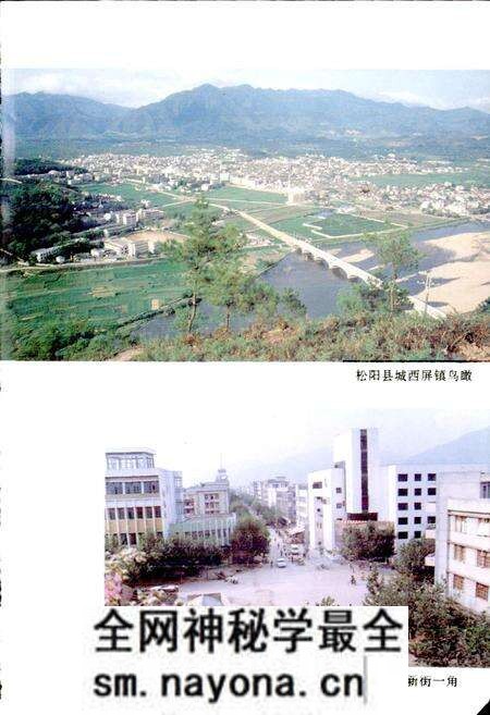 《松阳烟草志》.pdf电子版_浙江省志预览图2 《松阳烟草志》.pdf电子版_浙江省志预览图2