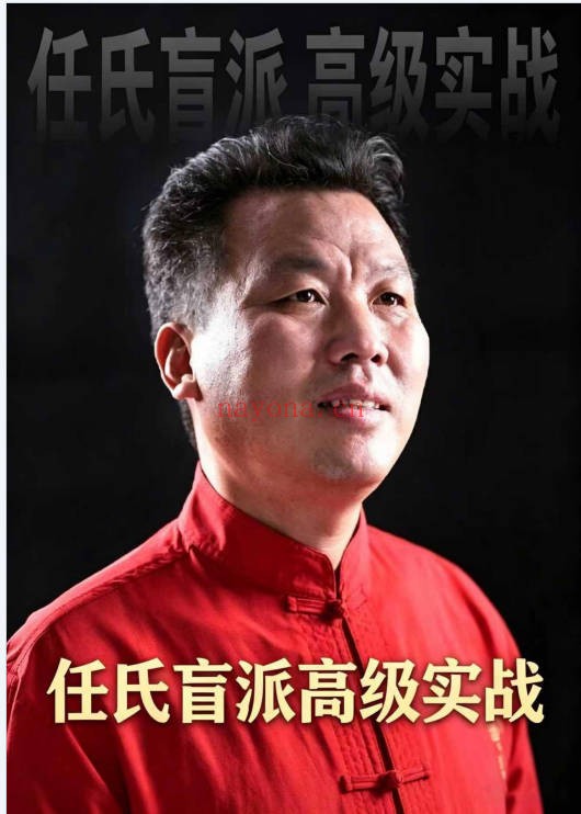 壬付红任氏盲派高级实战顶级盲派最新出炉320页PDF