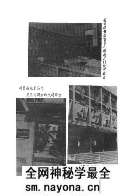 《新昌县文化志》.pdf电子版_浙江省志预览图5 《新昌县文化志》.pdf电子版_浙江省志预览图5