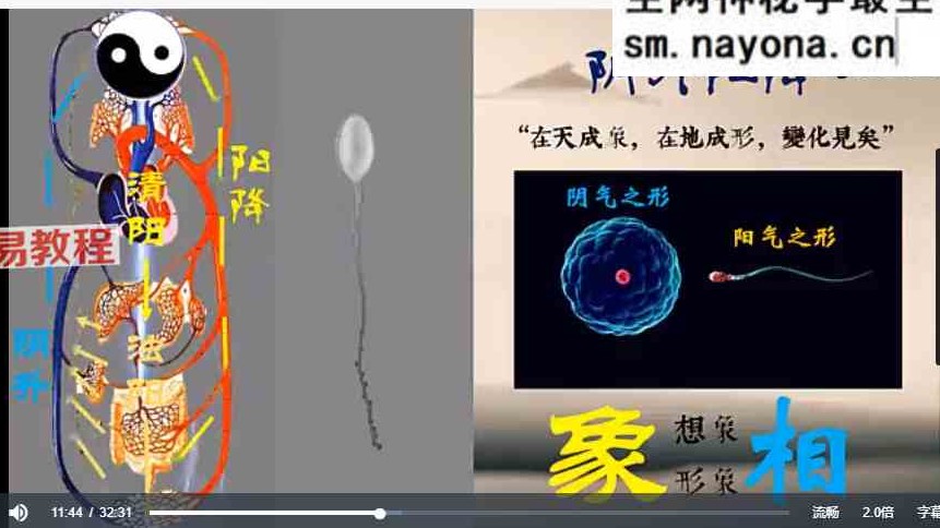 文始道全集11套视频合集