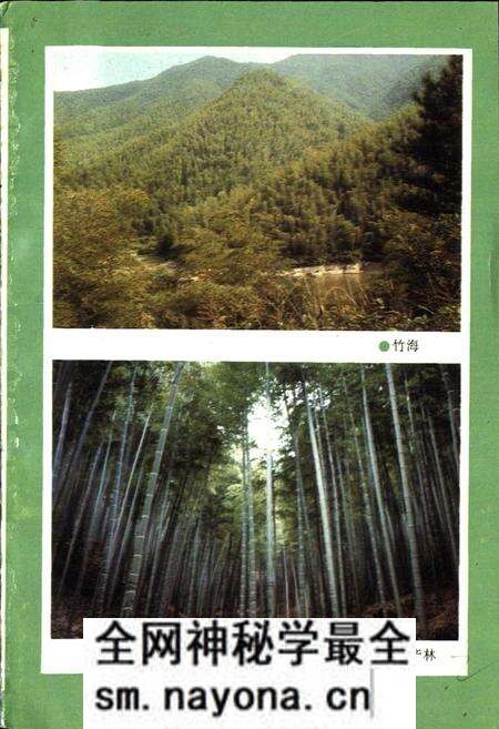 《湖州市林业志》.pdf电子版_浙江省志预览图3 《湖州市林业志》.pdf电子版_浙江省志预览图3