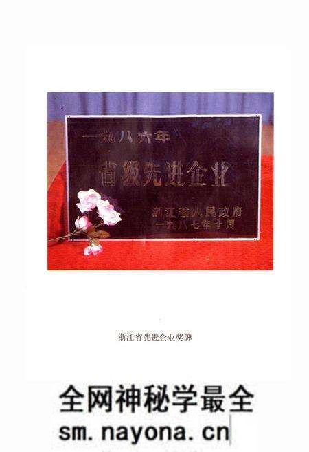 《杭州制笔总厂志》.pdf电子版_浙江省志预览图3