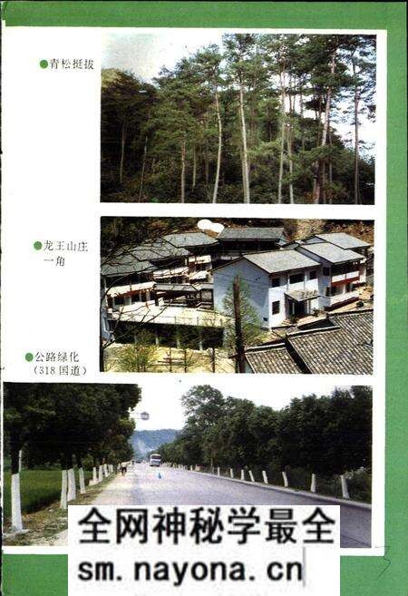 《湖州市林业志》.pdf电子版_浙江省志预览图5 《湖州市林业志》.pdf电子版_浙江省志预览图5