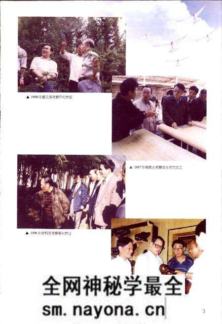 《浙江省林业志》.pdf电子版_浙江省志预览图5