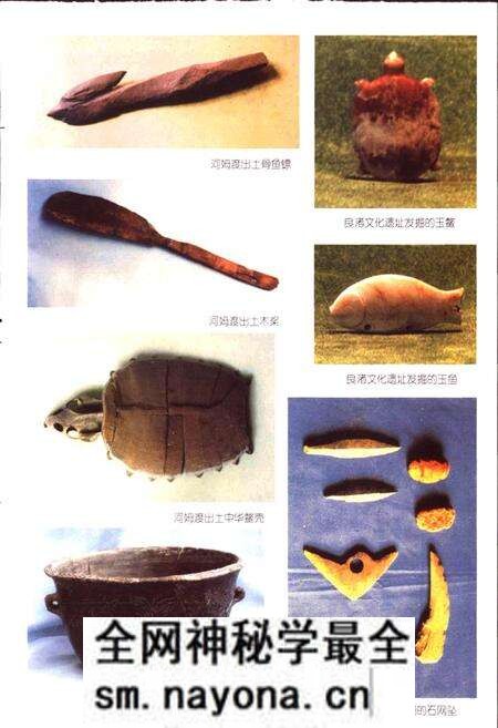 《浙江省水产志》.pdf电子版_浙江省志预览图5