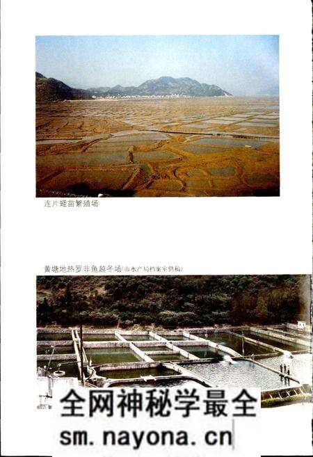 《乐清县水产志》.pdf电子版_浙江省志预览图5 《乐清县水产志》.pdf电子版_浙江省志预览图5