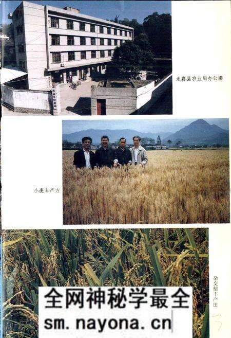 《永嘉县农业志》.pdf电子版_浙江省志预览图5 《永嘉县农业志》.pdf电子版_浙江省志预览图5