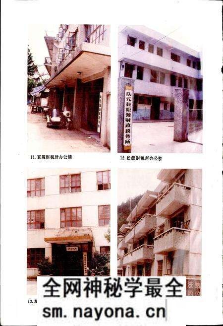 《庆元县财税志》.pdf电子版_浙江省志预览图5 《庆元县财税志》.pdf电子版_浙江省志预览图5