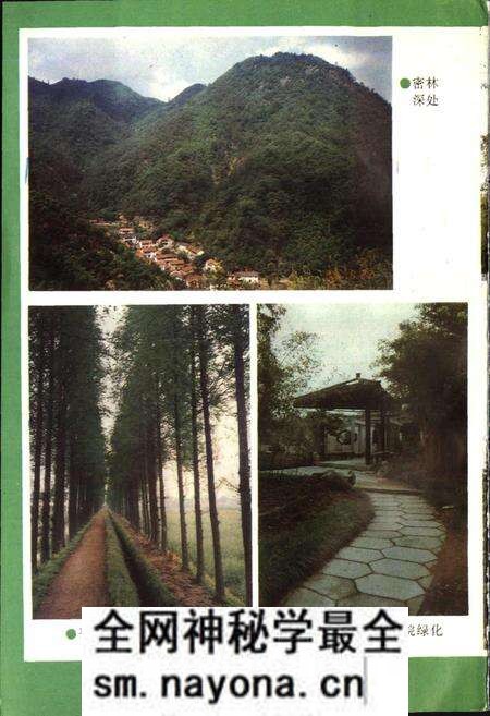 《湖州市林业志》.pdf电子版_浙江省志预览图4 《湖州市林业志》.pdf电子版_浙江省志预览图4