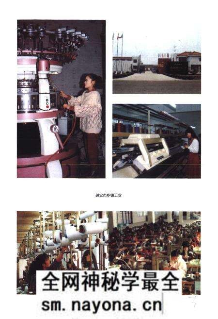 《瑞安市土地志》.pdf电子版_浙江省志预览图5 《瑞安市土地志》.pdf电子版_浙江省志预览图5