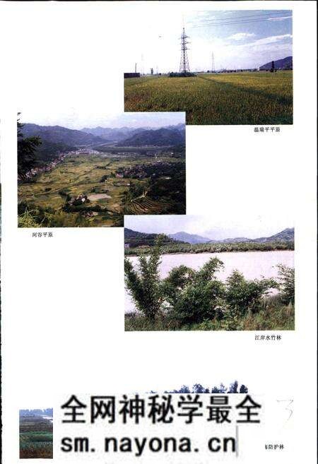 《瑞安市水利志》.pdf电子版_浙江省志预览图5 《瑞安市水利志》.pdf电子版_浙江省志预览图5