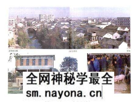 《兰溪游埠镇志》.pdf电子版_浙江省志预览图5 《兰溪游埠镇志》.pdf电子版_浙江省志预览图5