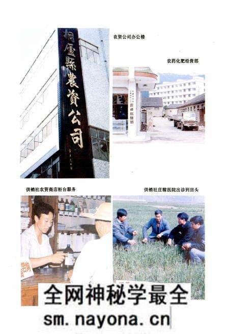 《桐庐县供销合作社志》.pdf电子版_浙江省志预览图3